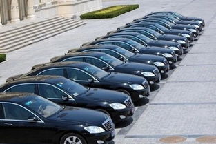 麗水市印發新能源汽車推廣計劃 2016年目標超900輛，廣州汽車租賃行業積極響應